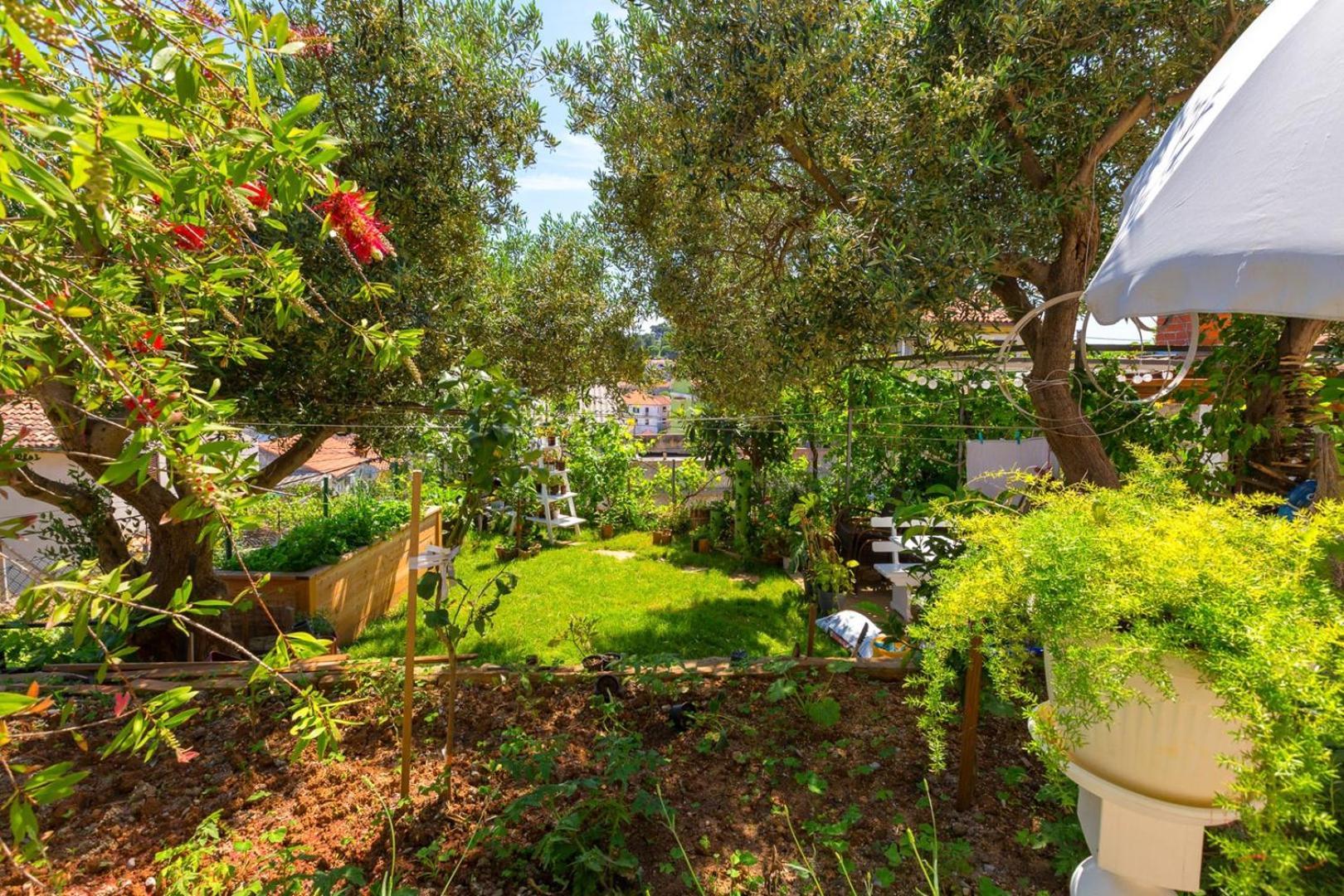 Apartments Valeria, Mali Lošinj Dış mekan fotoğraf